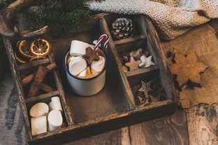 米兰app-NBA赛季助攻王表现动态，nba本赛季助攻王